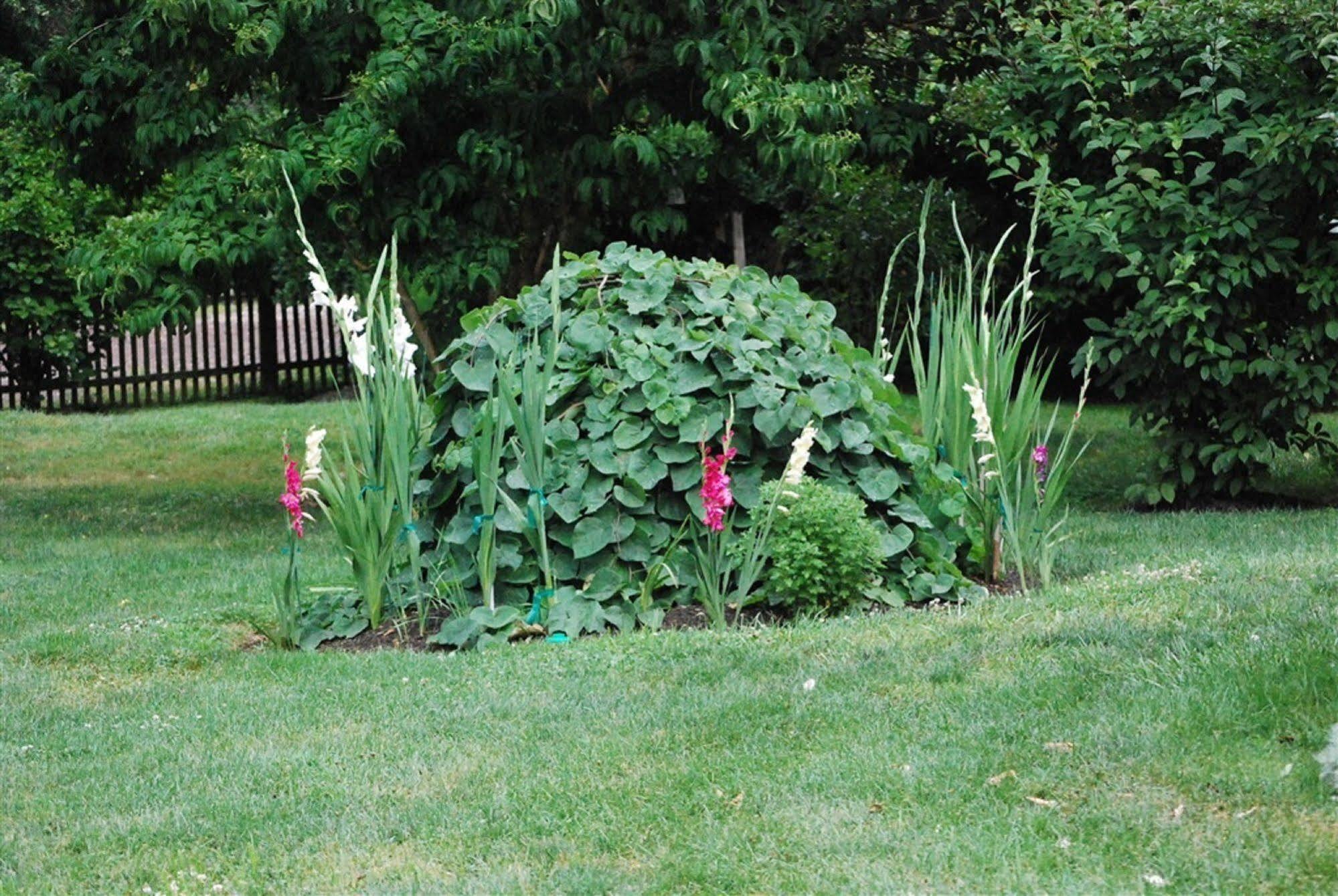 Wild Wisteria Bed & Breakfast Chadds Ford Екстериор снимка